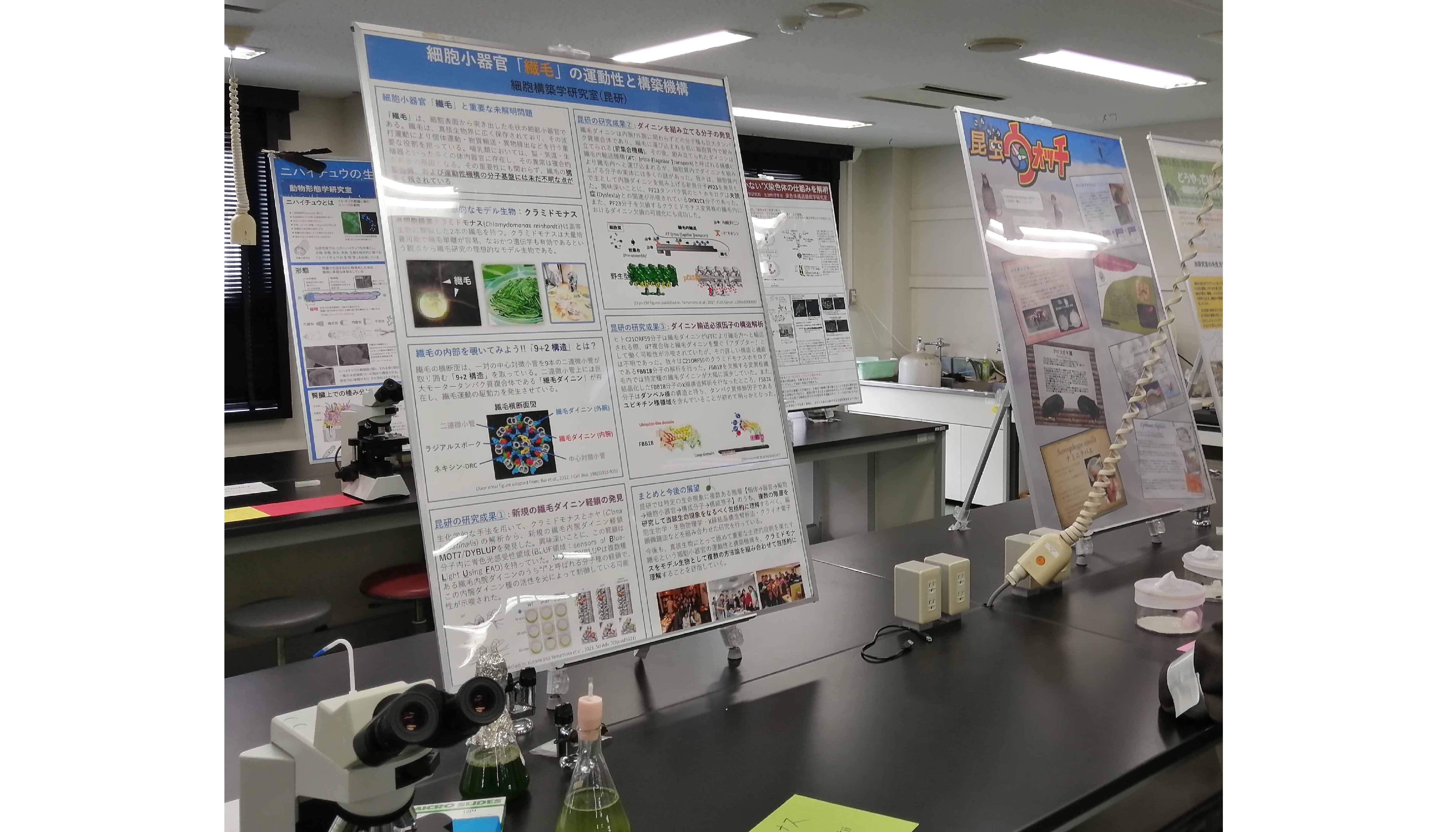 研究室の研究内容の展示と解説｜いちょう祭｜大阪大学